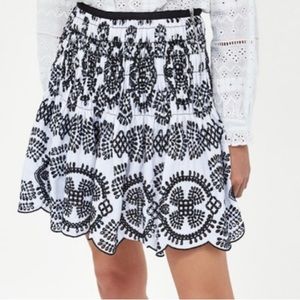 Zara Embroidered Eyelet mini skirt.